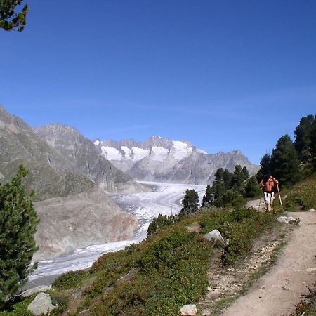 Mischabelblick Διαμέρισμα Fiesch Εξωτερικό φωτογραφία