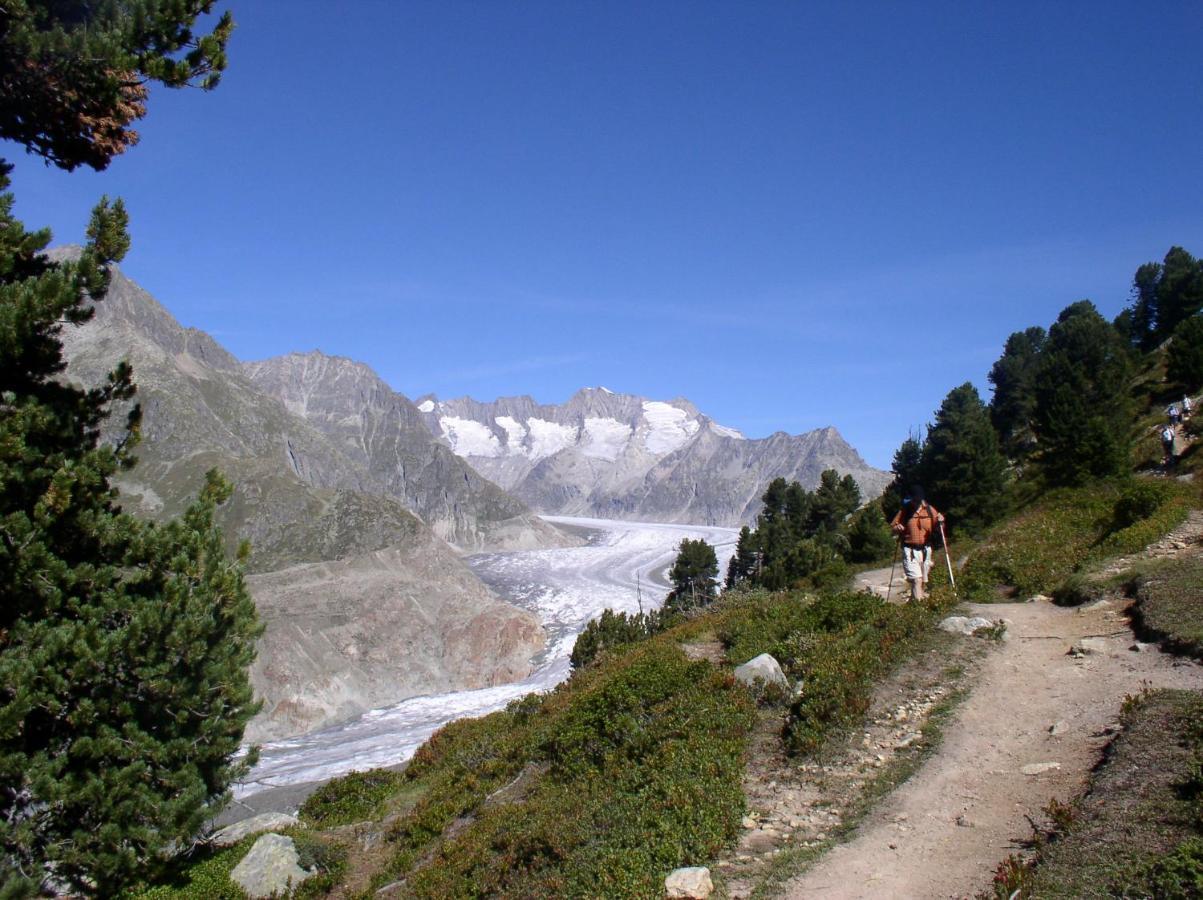 Mischabelblick Διαμέρισμα Fiesch Εξωτερικό φωτογραφία